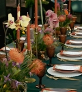 Fiesta de cumpleaños (Parque Jurásico)